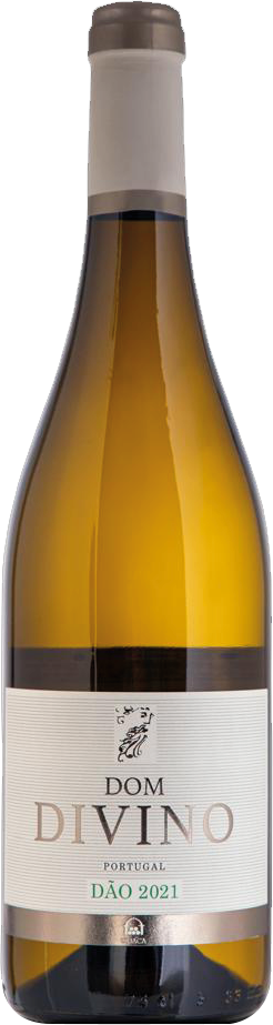 Dom Divino Branco