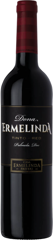 Dona Ermelinda Tinto 2021